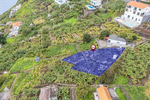 Helårsgrund i Calheta, Madeira, Calheta - € 55.000 | Ref: KWPT-030196 - foto 7