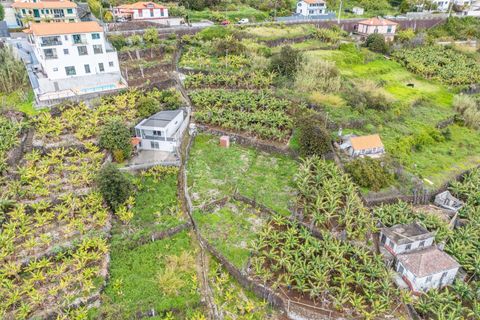 Helårsgrund i Calheta, Madeira, Calheta - € 55.000 | Ref: KWPT-030196 - foto 8