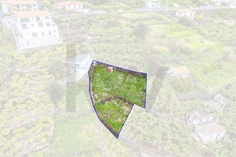Helårsgrund i Calheta, Madeira, Calheta - € 55.000 | Ref: KWPT-030196 - foto 9