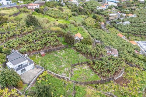 Helårsgrund i Calheta, Madeira, Calheta - € 55.000 | Ref: KWPT-030196 - foto 10