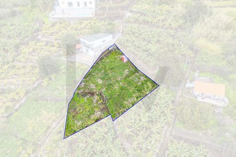 Helårsgrund i Calheta, Madeira, Calheta - € 55.000 | Ref: KWPT-030196 - foto 12
