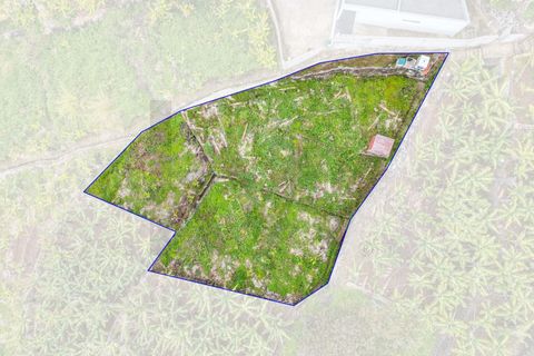 Helårsgrund i Calheta, Madeira, Calheta - € 55.000 | Ref: KWPT-030196 - foto 13
