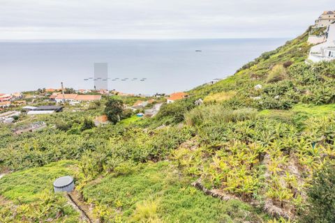 Helårsgrund i Calheta, Madeira, Calheta - € 55.000 | Ref: KWPT-030196 - foto 14