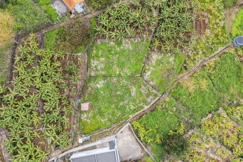 Helårsgrund i Calheta, Madeira, Calheta - € 55.000 | Ref: KWPT-030196 - foto 16