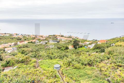 Helårsgrund i Calheta, Madeira, Calheta - € 55.000 | Ref: KWPT-030196 - foto 18