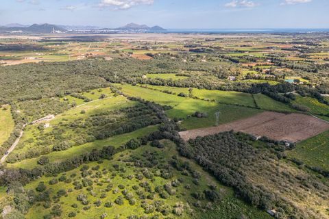 Terra a Muro, Mallorca, Muro - € 250.000 | Ref: 04DLAV002/3010 - foto 3