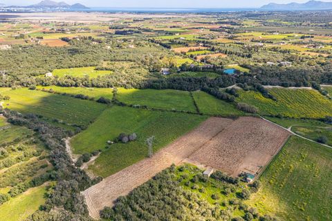 Terra a Muro, Mallorca, Muro - € 250.000 | Ref: 04DLAV002/3010 - foto 5