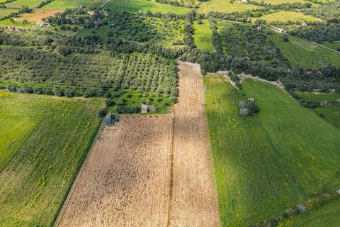 Terra a Muro, Mallorca, Muro - € 250.000 | Ref: 04DLAV002/3010 - foto 8