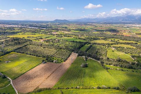 Terra a Muro, Mallorca, Muro - € 250.000 | Ref: 04DLAV002/3010 - foto 9
