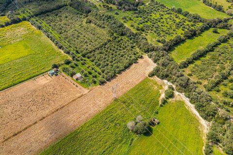 Terra a Muro, Mallorca, Muro - € 250.000 | Ref: 04DLAV002/3010 - foto 11