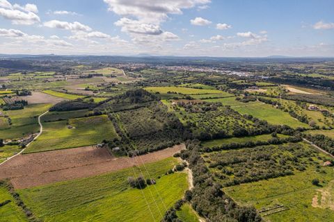 Terra a Muro, Mallorca, Muro - € 250.000 | Ref: 04DLAV002/3010 - foto 12
