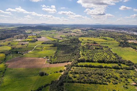 Terra a Muro, Mallorca, Muro - € 250.000 | Ref: 04DLAV002/3010 - foto 13
