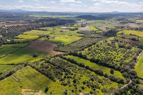 Terra a Muro, Mallorca, Muro - € 250.000 | Ref: 04DLAV002/3010 - foto 15