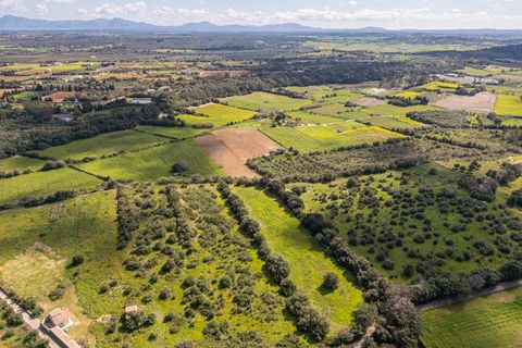 Terra a Muro, Mallorca, Muro - € 250.000 | Ref: 04DLAV002/3010 - foto 16