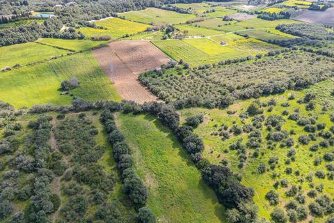 Terra a Muro, Mallorca, Muro - € 250.000 | Ref: 04DLAV002/3010 - foto 17