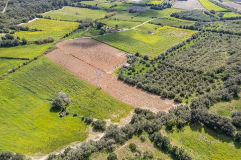 Terra a Muro, Mallorca, Muro - € 250.000 | Ref: 04DLAV002/3010 - foto 18