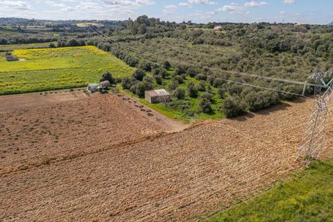 Terra a Muro, Mallorca, Muro - € 250.000 | Ref: 04DLAV002/3010 - foto 19