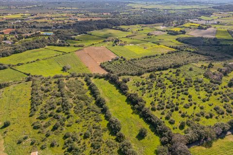 Terra a Muro, Mallorca, Muro - € 250.000 | Ref: 04DLAV002/3010 - foto 20
