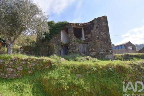 Byhus i Miranda do Corvo, Coimbra, Miranda do Corvo - € 29.000 | Ref: 854777 - foto 9