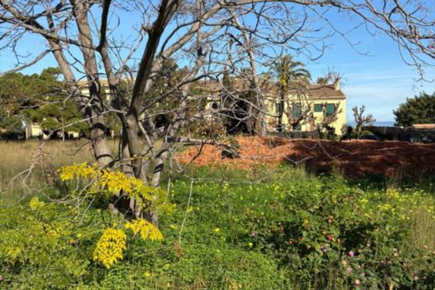 Helårsgrund i Denia, Alicante, Denia - € 736.000 | Ref: P558737 - foto 5