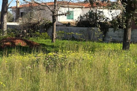 Helårsgrund i Denia, Alicante, Denia - € 736.000 | Ref: P558737 - foto 6