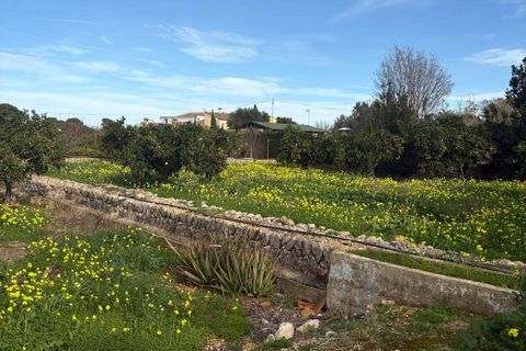 Helårsgrund i Denia, Alicante, Denia - € 250.000 | Ref: P415464 - foto 6