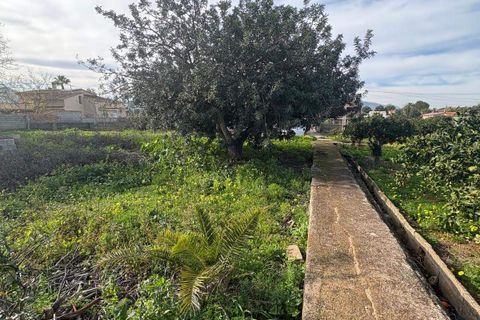 Helårsgrund i Denia, Alicante, Denia - € 250.000 | Ref: P415464 - foto 9