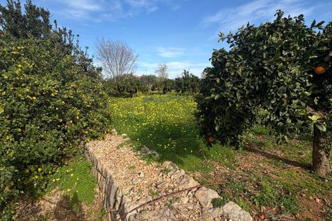 Helårsgrund i Denia, Alicante, Denia - € 250.000 | Ref: P415464 - foto 11