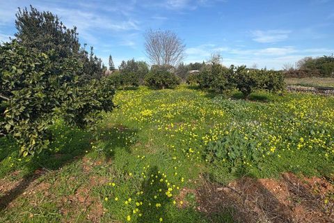 Helårsgrund i Denia, Alicante, Denia - € 250.000 | Ref: P415464 - foto 12
