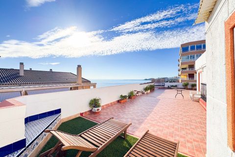 Leilighet i Torrevieja, Alicante, Torrevieja - € 425 000 | Ref: CSPX-54242 - foto 15
