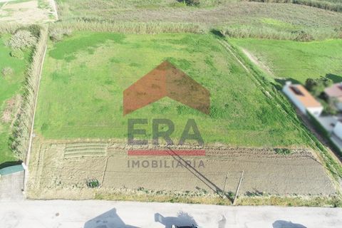 Helårsgrund i Mafra, Lisbon, Mafra - € 330.000 | Ref: 130260054 - foto 5