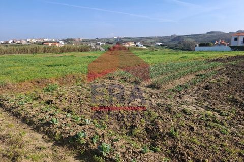 Helårsgrund i Mafra, Lisbon, Mafra - € 330.000 | Ref: 130260054 - foto 7