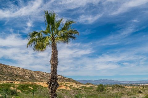 Wohnung in Algorfa, Alicante, Algorfa - € 355.000 | Ref: CSPX-77077 - Foto 27