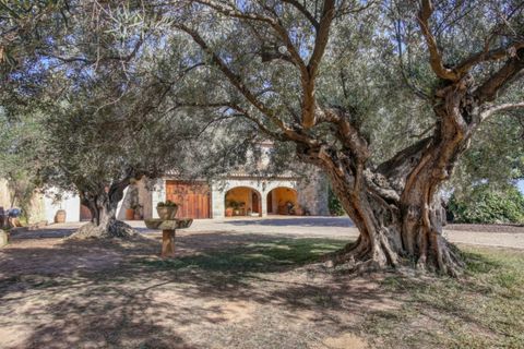 Landejendom i Teulada, Alicante, Teulada - € 4.200.000 | Ref: CSPX-13674 - foto 25