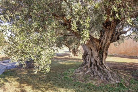 Landejendom i Teulada, Alicante, Teulada - € 4.200.000 | Ref: CSPX-13674 - foto 44