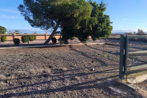 Villa i Dolores, Alicante, Dolores - € 550.000 | Ref: CSPX-18424 - foto 22