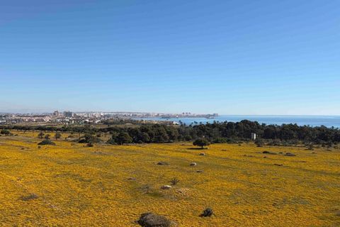 Lejlighed i Punta Prima, Alicante, Punta Prima - € 235.000 | Ref: CSPX-62573 - foto 8