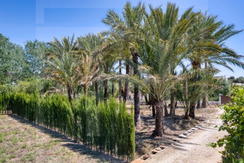 Herregård i Teulada, Alicante, Teulada - € 595 000 | Ref: CSPX-36843 - foto 16