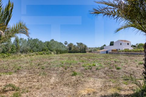 Herregård i Teulada, Alicante, Teulada - € 595 000 | Ref: CSPX-36843 - foto 20