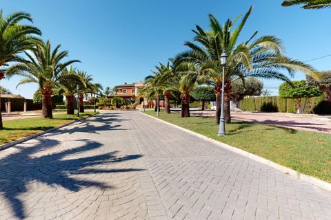 Villa i Elche, Alicante, Elche - € 1.375.000 | Ref: CSPX-77806 - foto 16
