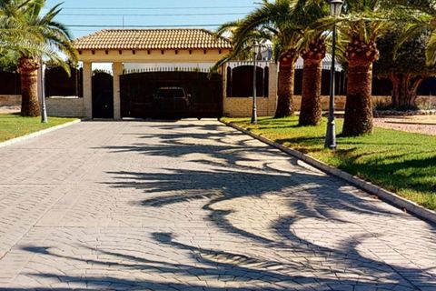 Villa i Elche, Alicante, Elche - € 1.375.000 | Ref: CSPX-77806 - foto 22