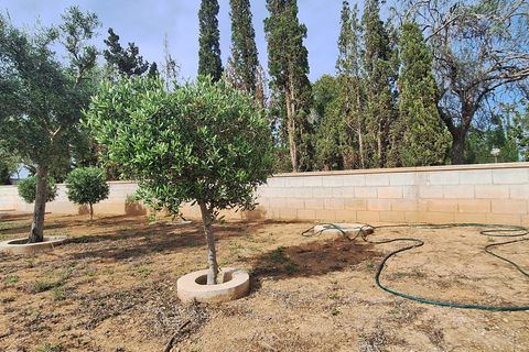 Villa i Elche, Alicante, Elche - € 590.000 | Ref: CSPX-59936 - foto 3