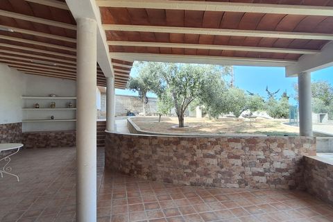 Villa i Elche, Alicante, Elche - € 590.000 | Ref: CSPX-59936 - foto 8