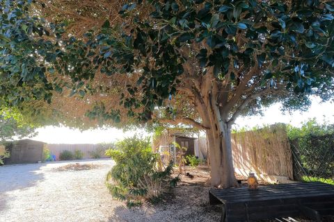Landejendom i Orihuela, Alicante, Orihuela - € 375.000 | Ref: CSPX-67827 - foto 23