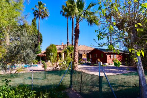Villa i Almoradi, Alicante, Almoradi - € 599.000 | Ref: CSPX-12521 - foto 50