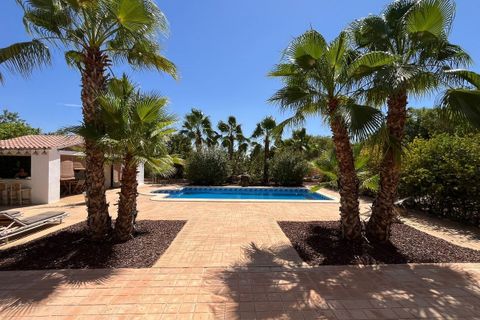 Villa i Elche, Alicante, Elche - € 590.000 | Ref: CSPX-47261 - foto 34