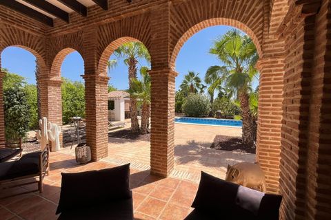 Villa i Elche, Alicante, Elche - € 590.000 | Ref: CSPX-47261 - foto 35