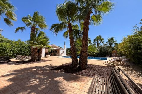 Villa i Elche, Alicante, Elche - € 590.000 | Ref: CSPX-47261 - foto 37