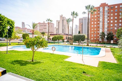 Leilighet i Benidorm, Alicante, Benidorm - € 225 000 | Ref: CSPX-25130 - foto 3