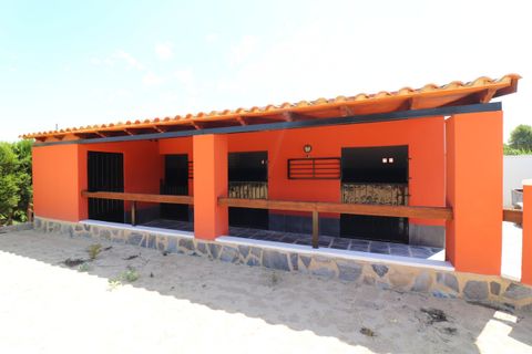 Villa i Almoradi, Alicante, Almoradi - € 595.000 | Ref: CSPX-35859 - foto 40